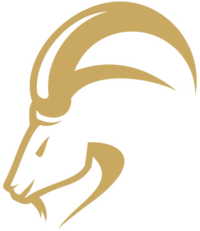 Global Capricorn Fund logo